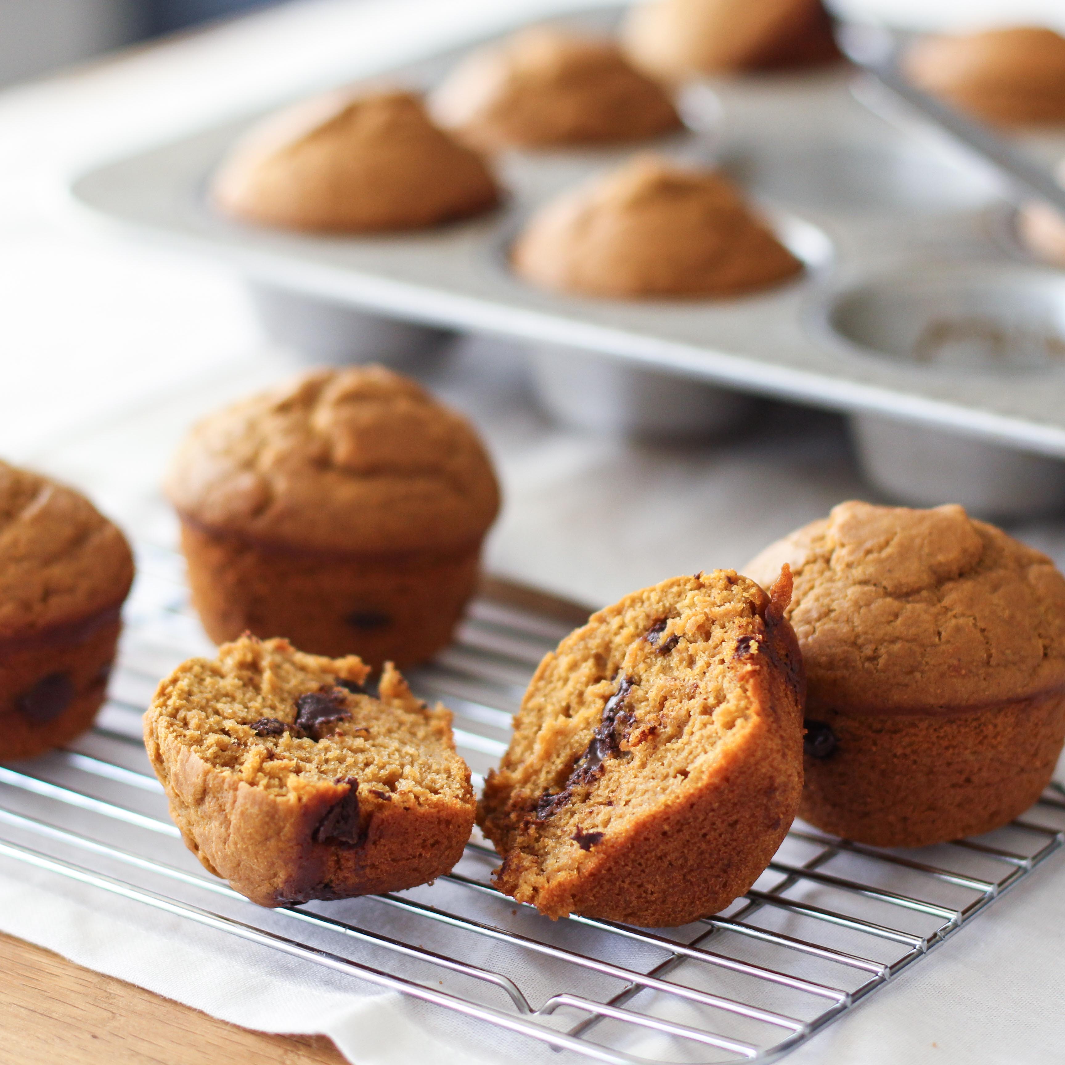 pumpkin spice chocolate chip muffins