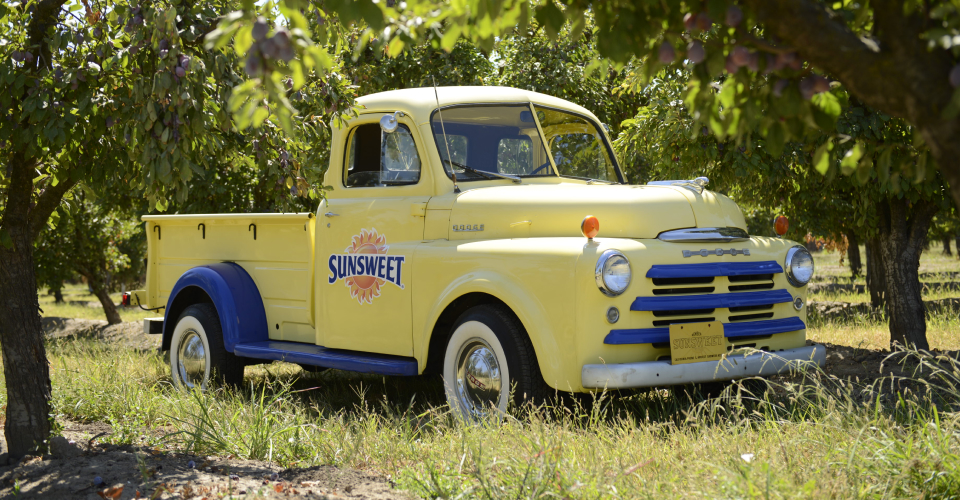 Sunsweet Truck